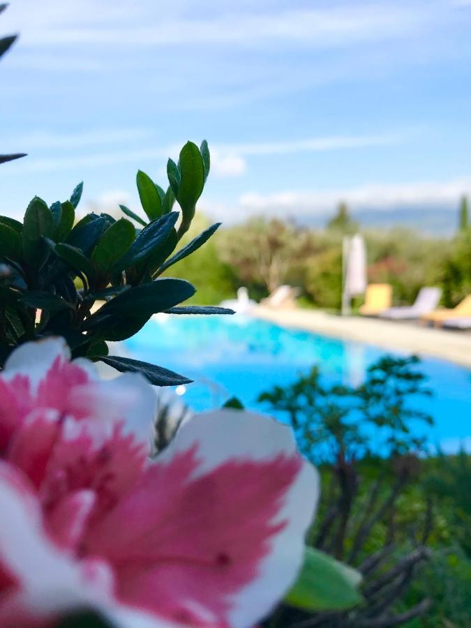 Le Mas de la Source Bed and Breakfast Mougins Exterior foto