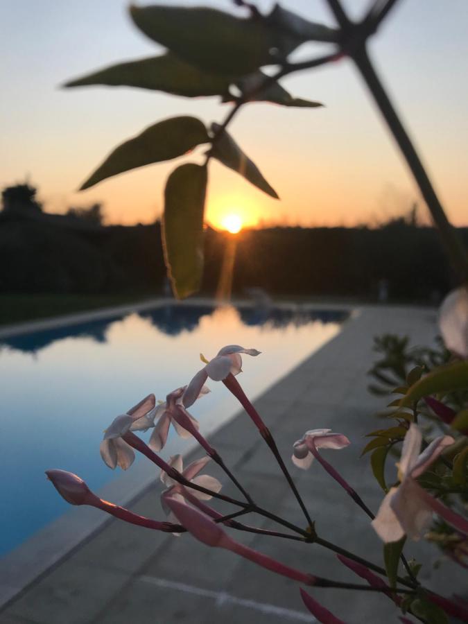 Le Mas de la Source Bed and Breakfast Mougins Exterior foto